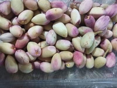 برنامه ریزی میدانی برای عرضه محصول پسته شناسنامه دار در سطح بازار